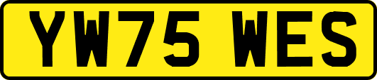 YW75WES