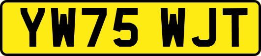 YW75WJT