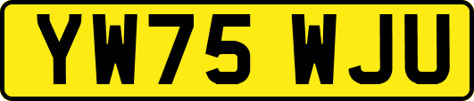 YW75WJU