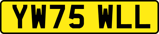 YW75WLL