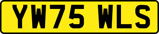 YW75WLS