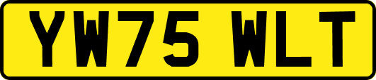 YW75WLT