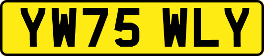 YW75WLY