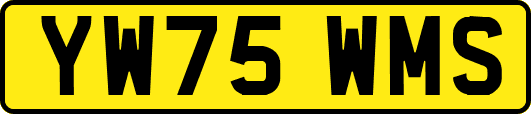 YW75WMS