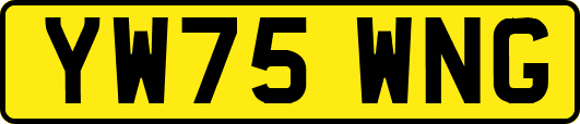 YW75WNG