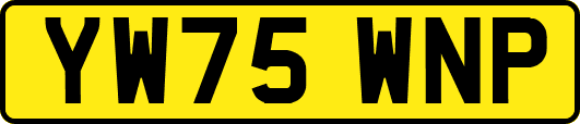 YW75WNP