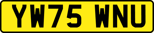 YW75WNU
