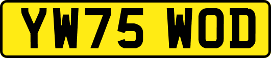 YW75WOD