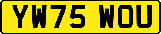 YW75WOU