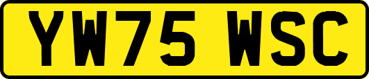 YW75WSC