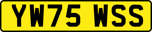 YW75WSS