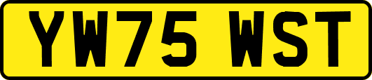 YW75WST