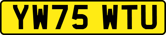 YW75WTU