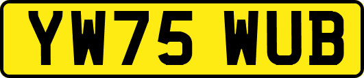 YW75WUB