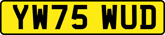 YW75WUD