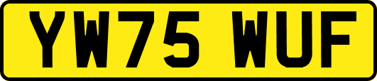 YW75WUF