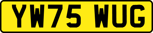 YW75WUG
