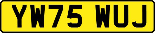YW75WUJ