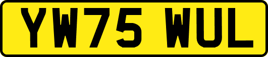 YW75WUL