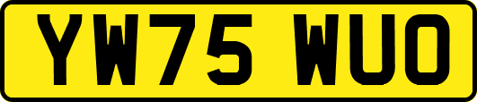 YW75WUO