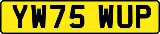 YW75WUP