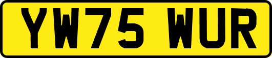 YW75WUR