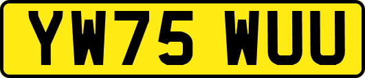 YW75WUU
