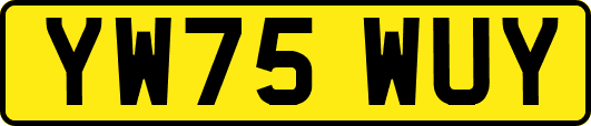 YW75WUY