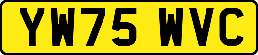 YW75WVC