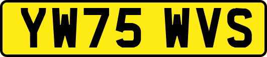 YW75WVS