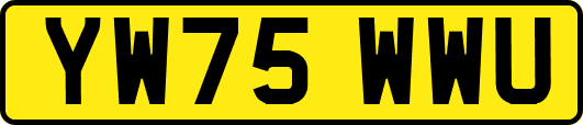 YW75WWU