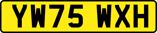 YW75WXH