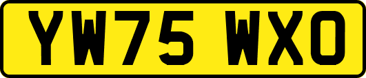 YW75WXO