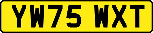 YW75WXT