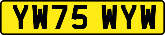 YW75WYW