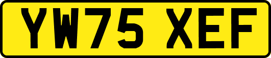 YW75XEF