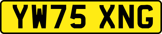 YW75XNG