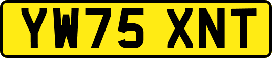 YW75XNT