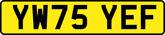 YW75YEF