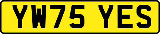 YW75YES