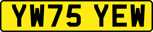 YW75YEW
