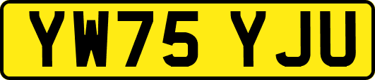 YW75YJU