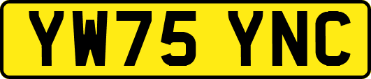 YW75YNC