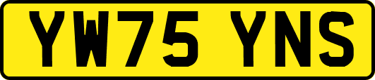 YW75YNS