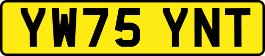 YW75YNT