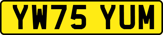 YW75YUM