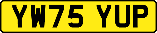 YW75YUP
