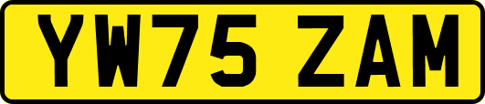 YW75ZAM