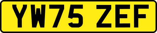 YW75ZEF