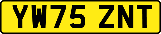 YW75ZNT